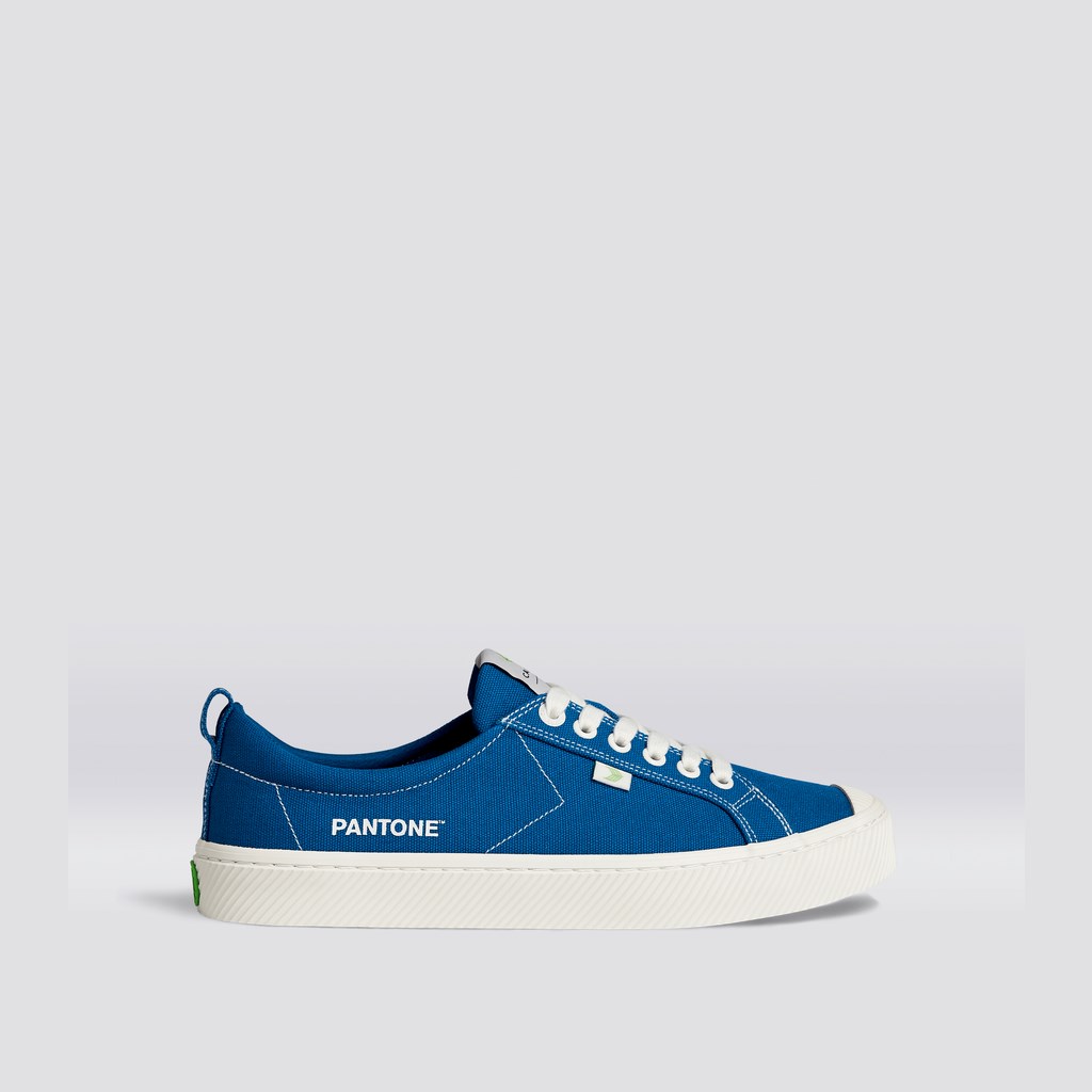 OCA LOW Cariuma Low Top Tela Bleu Homme | UIU-0709813